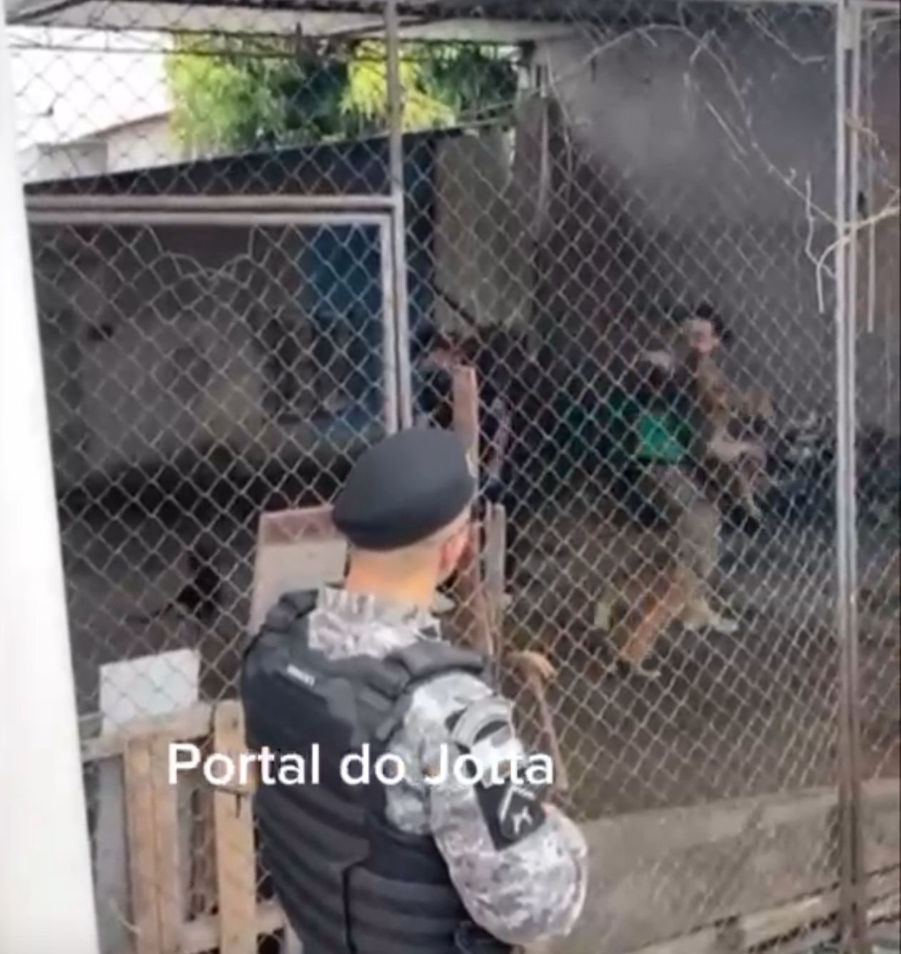 25 CAES EM SITUAÇAO DE MAUS-TRATOS SAO RESGATADOS PELA POLICIA MILITAR CIPCAES