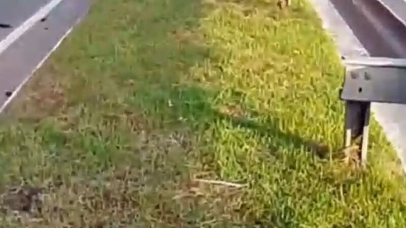 CASAL MORRE EM GRAVE ACIDENTE DE TRÂNSITO NA AVENIDA DO TURISMO, EM MANAUS