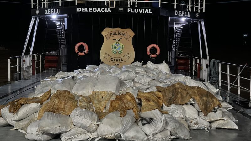 Polícia Civil apreende 12 toneladas de pirarucu em embarcação por meio da Delegacia Fluvial de Itacoatiara.