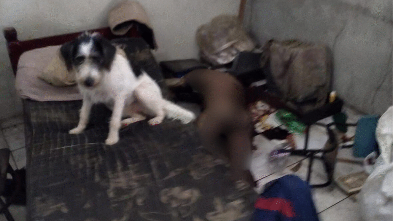 Forte odor e presença de moscas levam à descoberta de corpo na Redenção