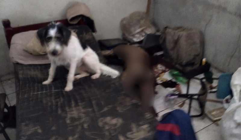 Forte odor e presença de moscas levam à descoberta de corpo na Redenção